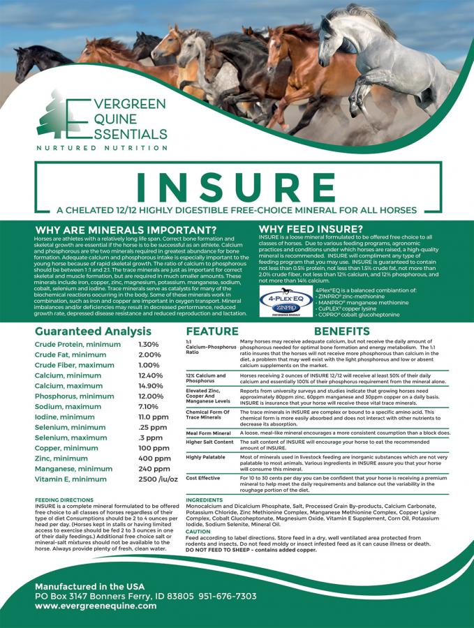 INSURE Chelated 12/12 Horse Mineral ( Best Bone Supplement )
