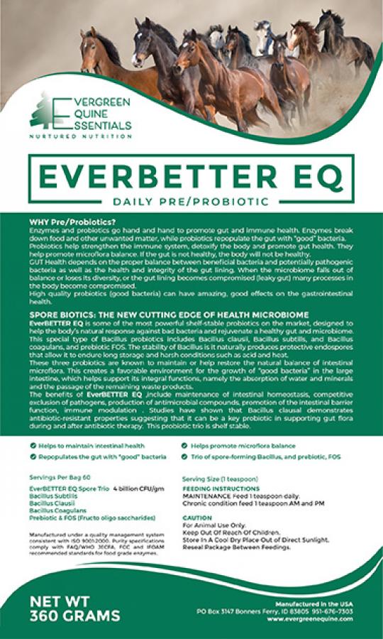 EverBETTER EQ