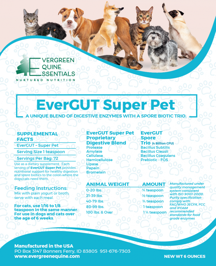 Evergut Super Pet: Dog Digestive & Systemic Enzyme Supplement