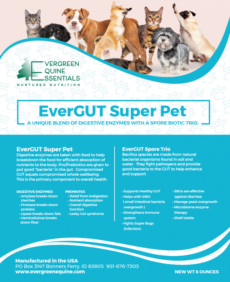 Evergut Super Pet: Dog Digestive & Systemic Enzyme Supplement