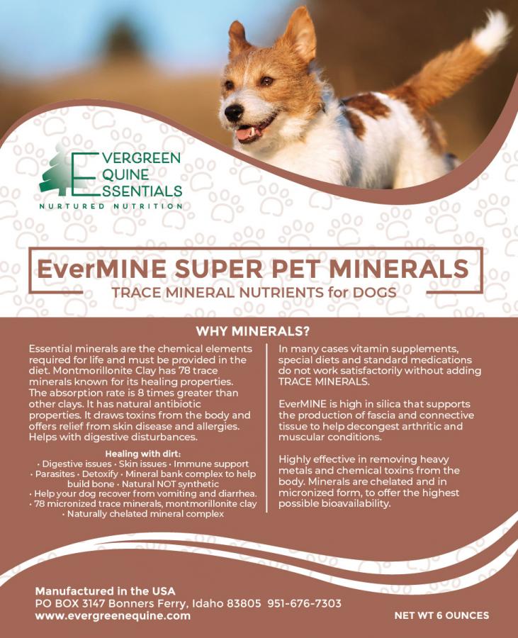 Dog Mineral & Digestive Supplement | Evermine Super Pet