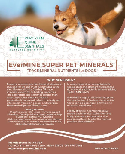 Dog Mineral & Digestive Supplement | Evermine Super Pet